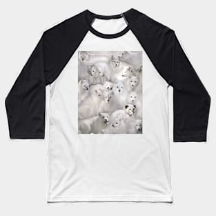 Arctic Foxes Baseball T-Shirt